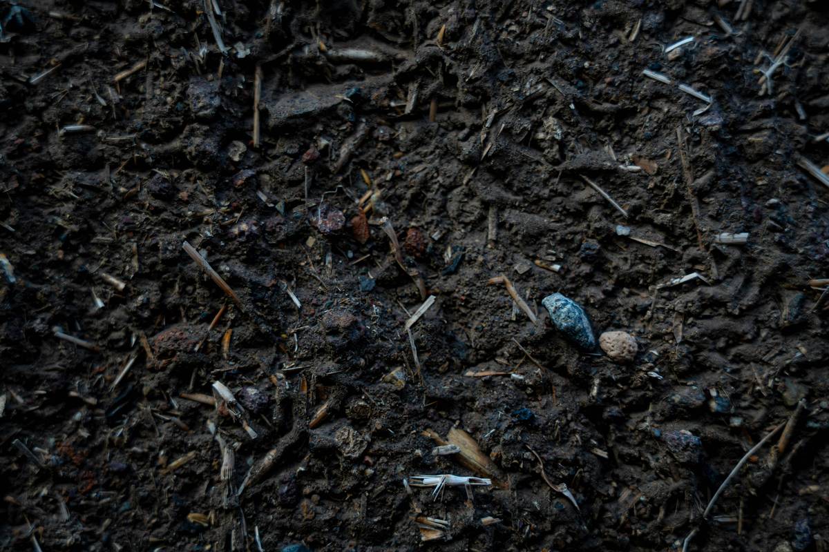 Close-up of dark, crumbly compost-rich soil with visible earthworm castings, labeled organic vegetable fertilizer